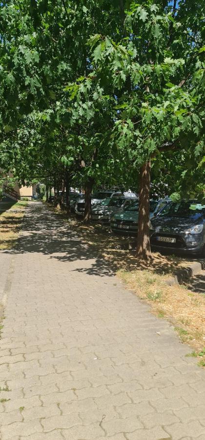 Ybs Apartman Daire Zalaegerszeg Dış mekan fotoğraf